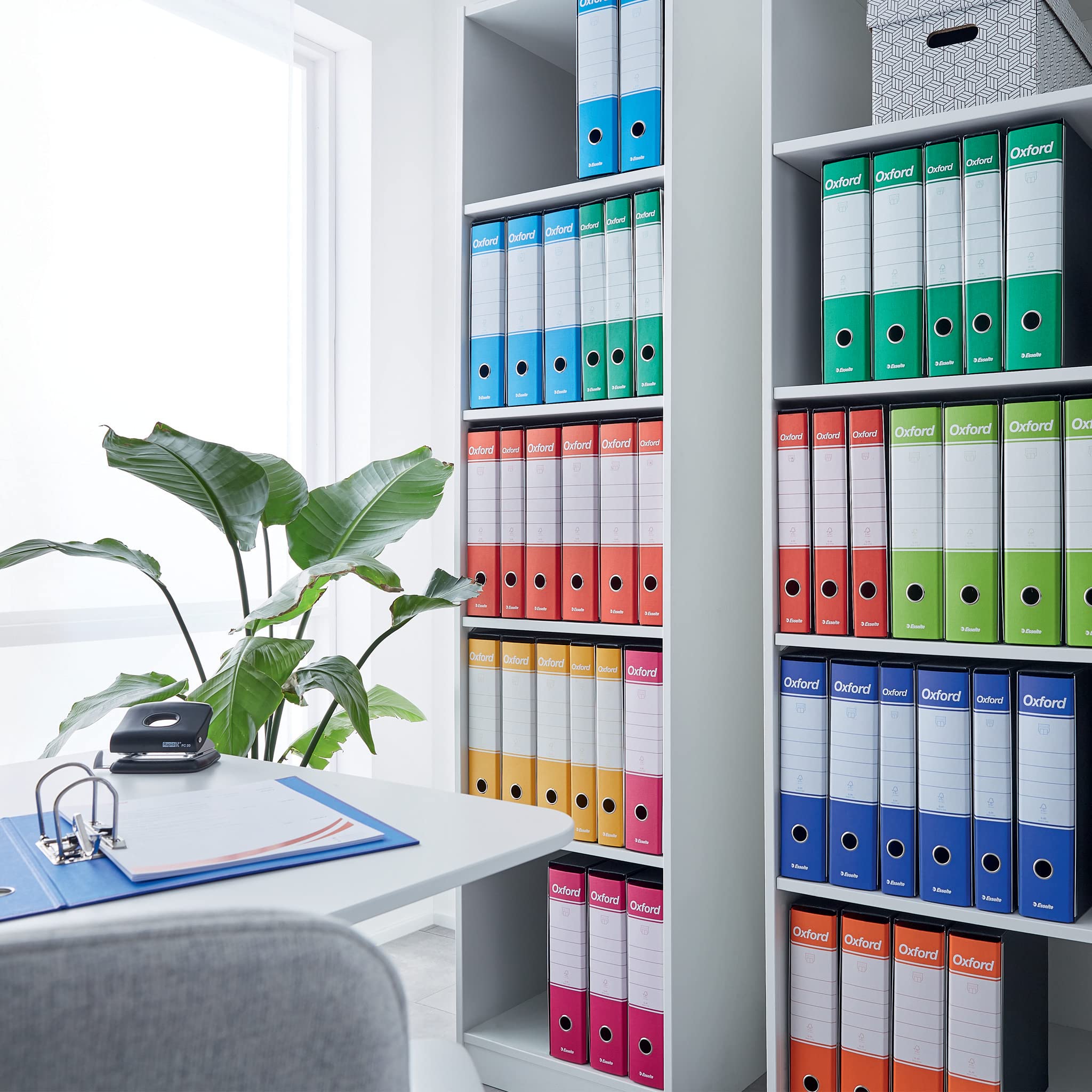 Dallโarchiviazione alla compliance: come costruire un ufficio che funziona davvero