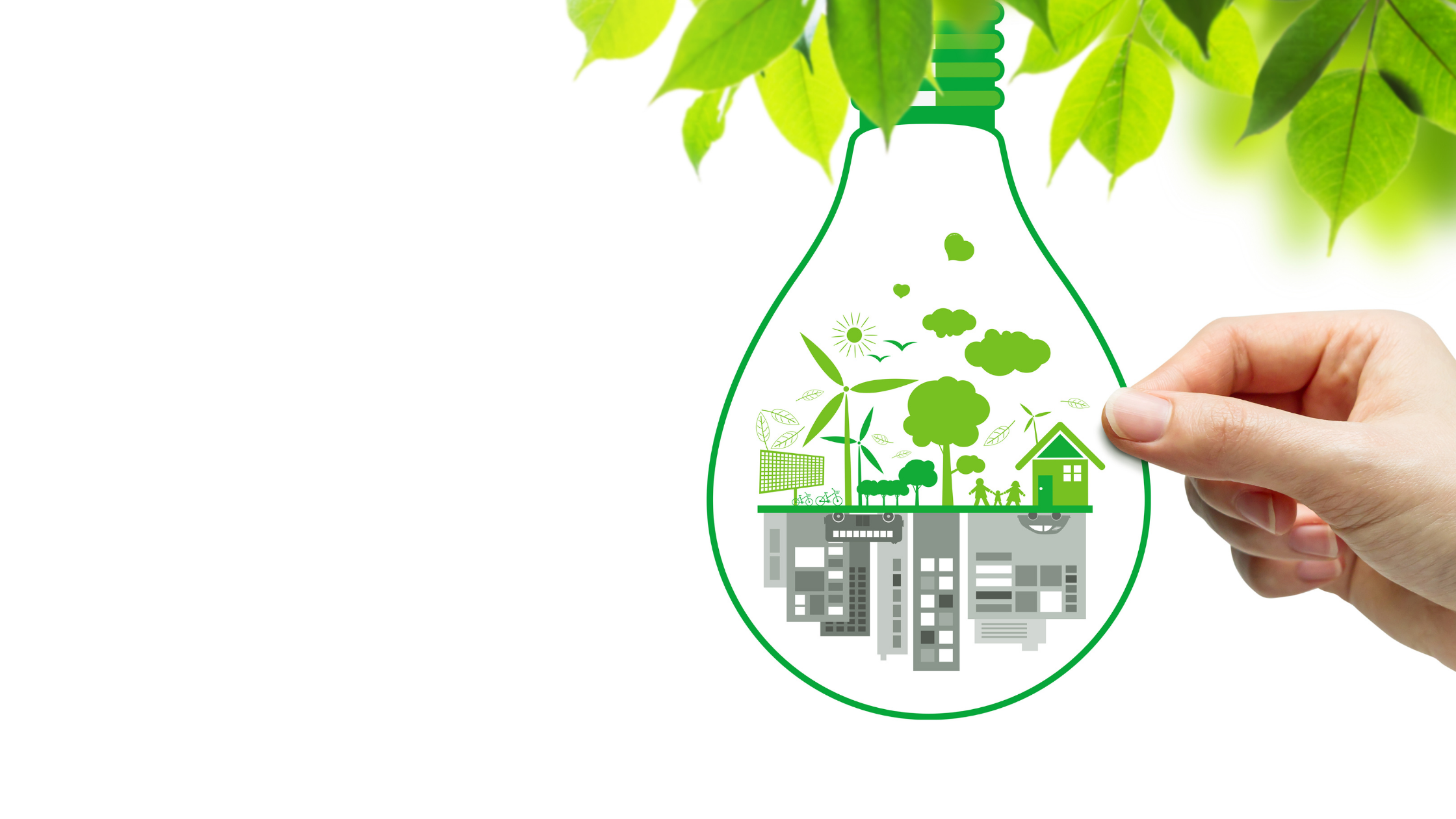 Ufficio green: come realizzarlo in modo sostenibile